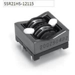 SSR21HS-20029
